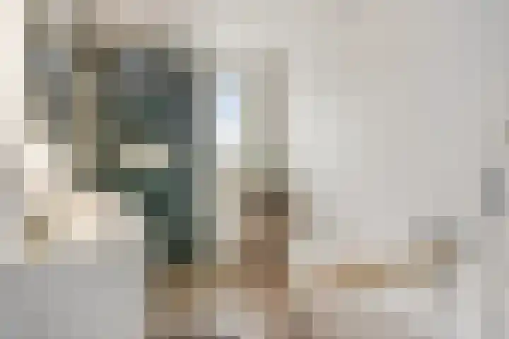 Singelweg 13 Axel thumbnail 8