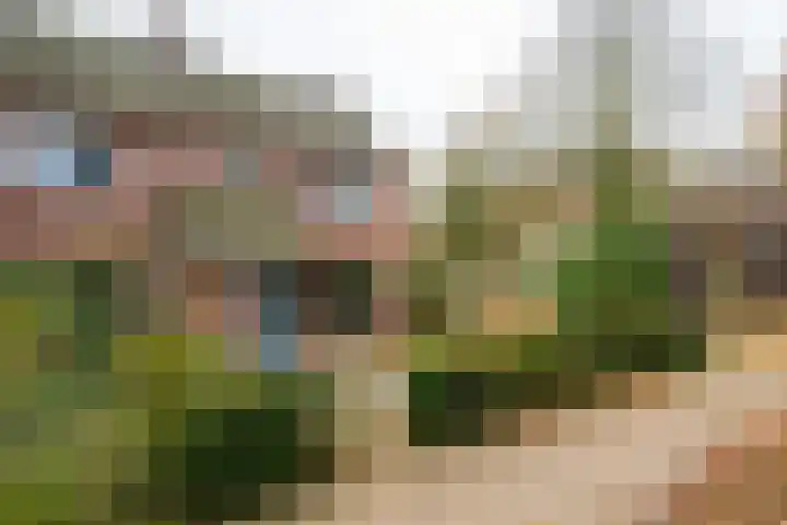 Singelweg 14 Aalten thumbnail 10