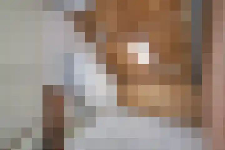 Singelweg 14 Aalten thumbnail 34
