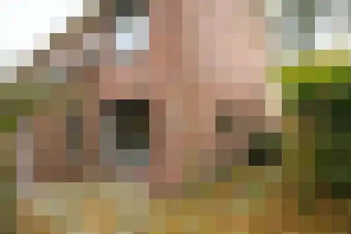 Singelweg 14 Aalten thumbnail 38