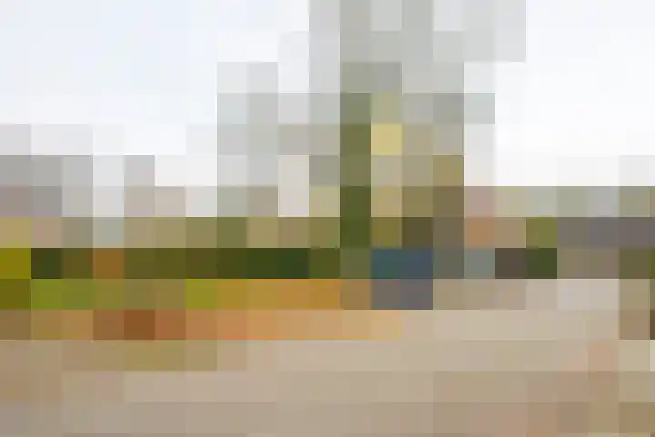 Singelweg 14 Aalten thumbnail 39
