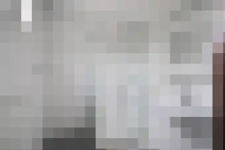 Singelweg 14 Aalten thumbnail 4