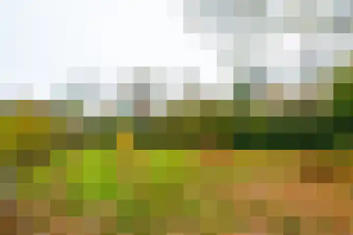 Singelweg 14 Aalten thumbnail 40
