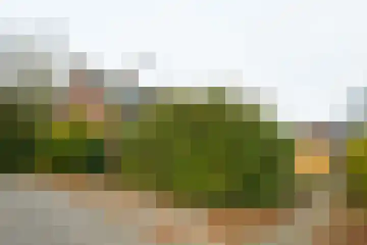 Singelweg 14 Aalten thumbnail 41