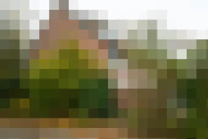 Singelweg 14 Aalten thumbnail 42