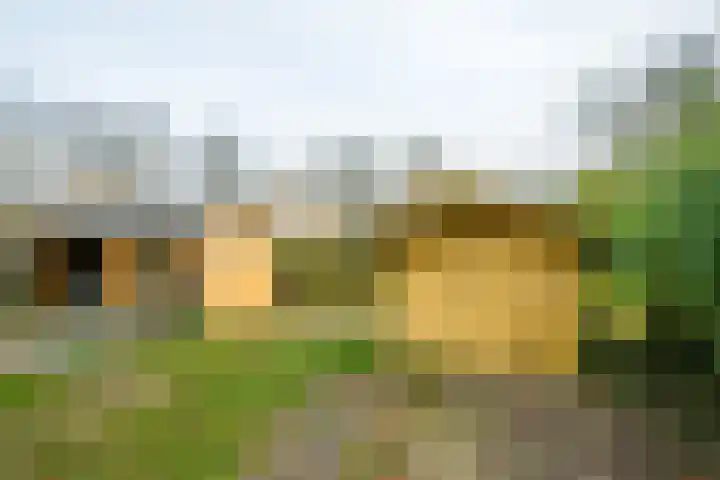 Singelweg 14 Aalten thumbnail 43