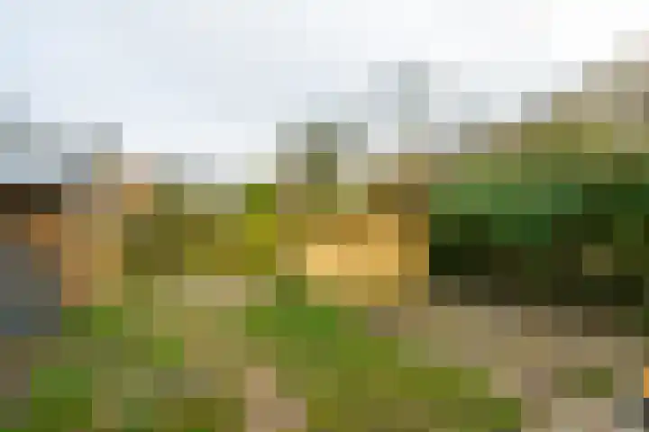 Singelweg 14 Aalten thumbnail 45