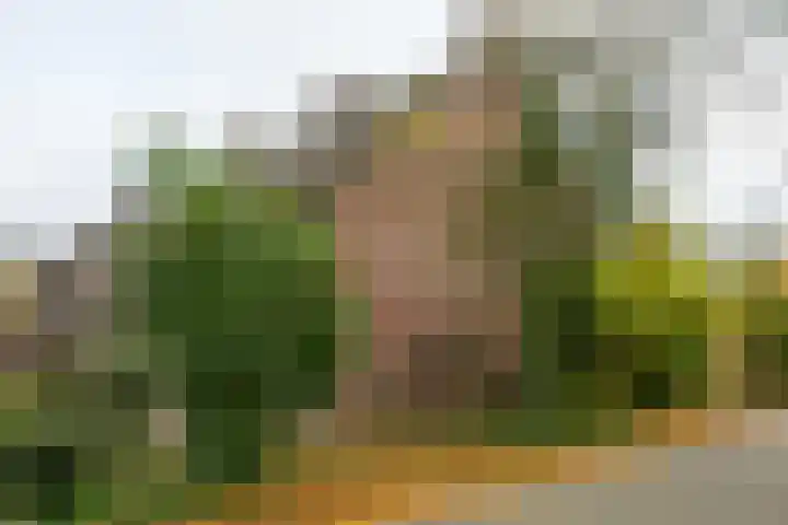 Singelweg 14 Aalten thumbnail 6