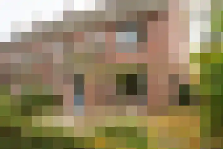 Singelweg 14 Aalten thumbnail 7