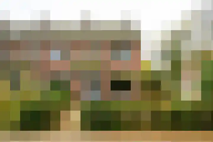 Singelweg 14 Aalten thumbnail 8