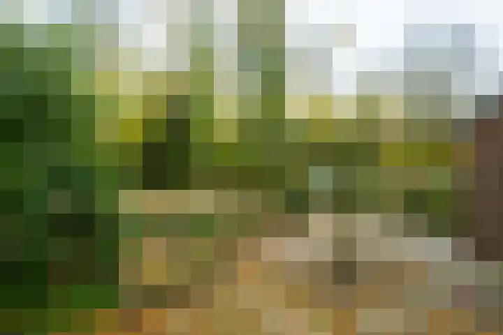 Singelweg 14 Aalten thumbnail 9