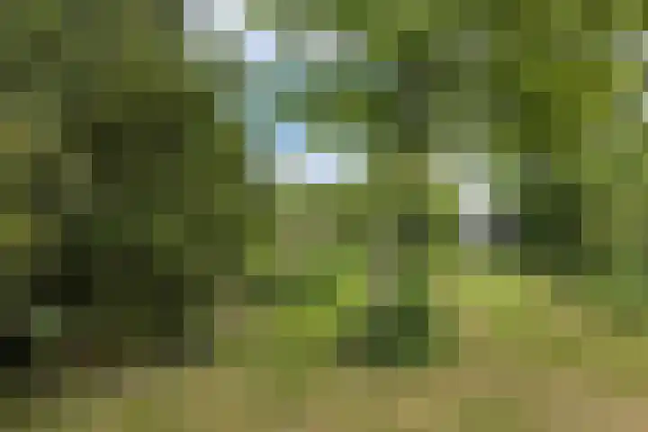 Singelweg 19 Loppersum thumbnail 11