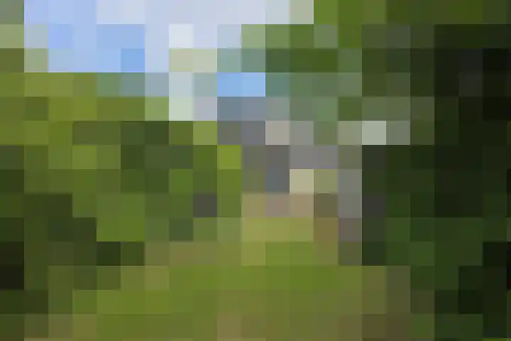Singelweg 19 Loppersum thumbnail 12