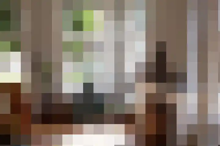 Singelweg 19 Loppersum thumbnail 20
