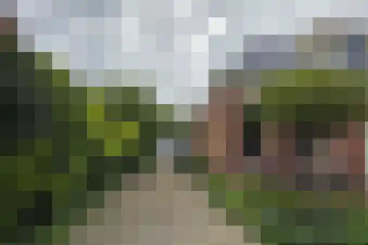 Singelweg 19 Loppersum thumbnail 4
