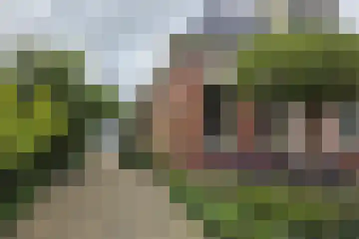 Singelweg 19 Loppersum thumbnail 5