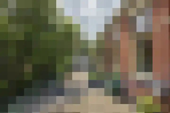 Singelweg 19 Loppersum thumbnail 6