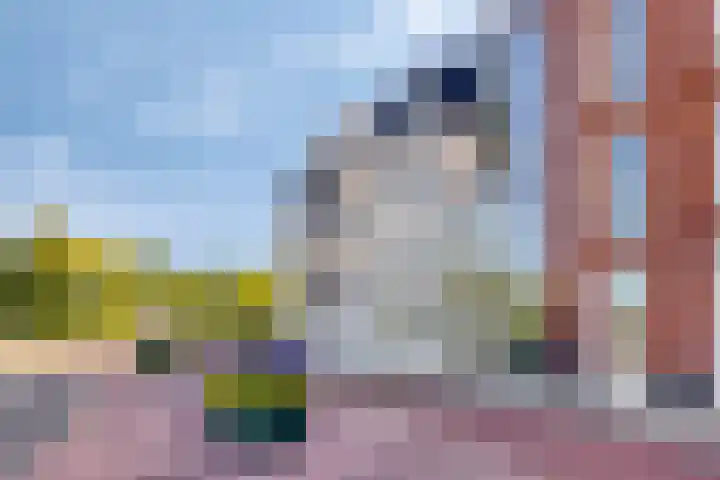 Singelweg 2 b Winterswijk thumbnail 30