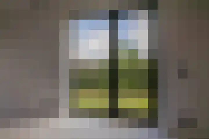 Singelweg 2 Grijpskerk thumbnail 10
