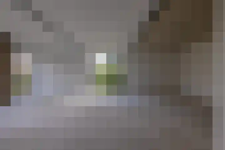 Singelweg 2 Grijpskerk thumbnail 11
