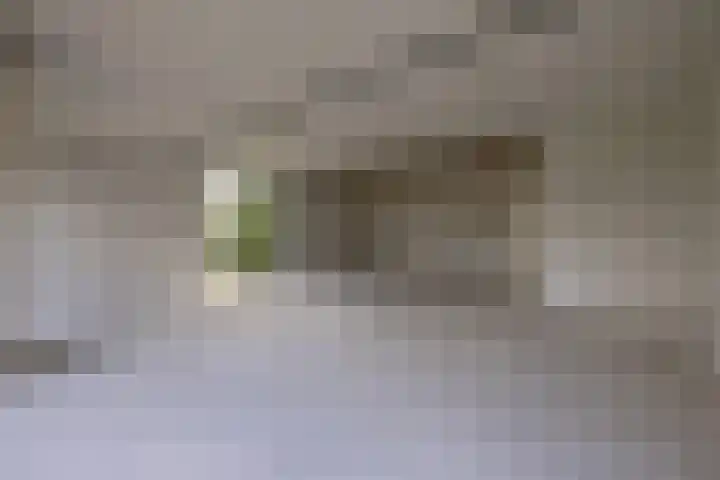 Singelweg 2 Grijpskerk thumbnail 12