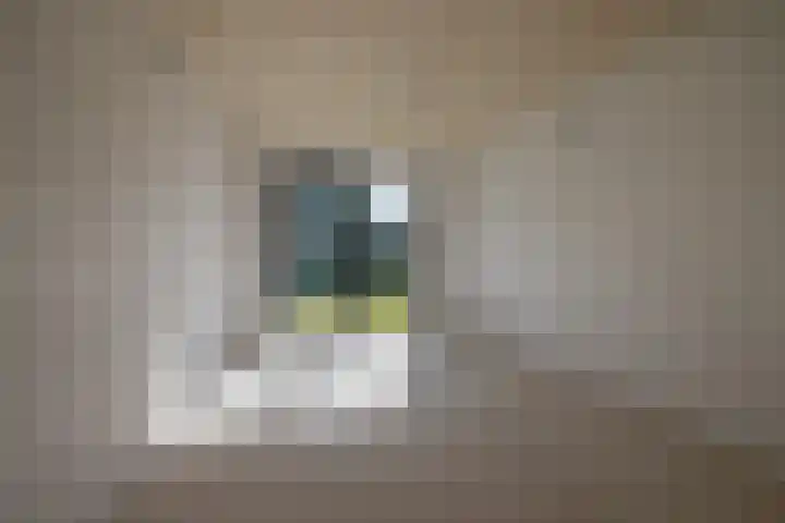 Singelweg 2 Grijpskerk thumbnail 16
