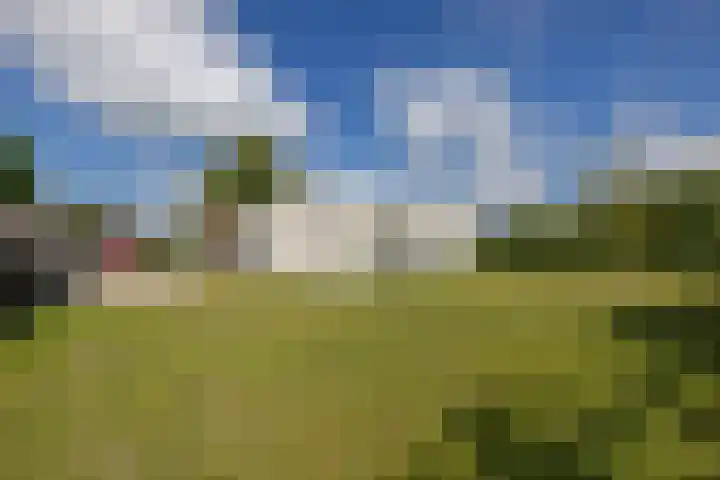 Singelweg 2 Grijpskerk thumbnail 23