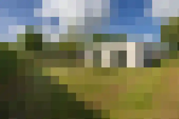 Singelweg 2 Grijpskerk thumbnail 24