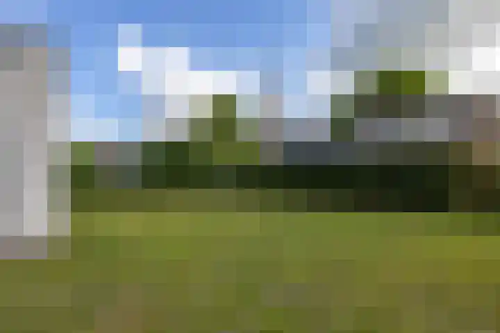 Singelweg 2 Grijpskerk thumbnail 25