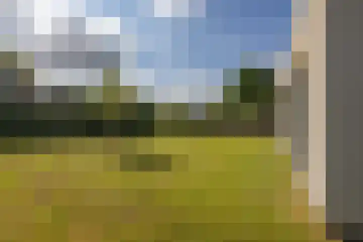 Singelweg 2 Grijpskerk thumbnail 26
