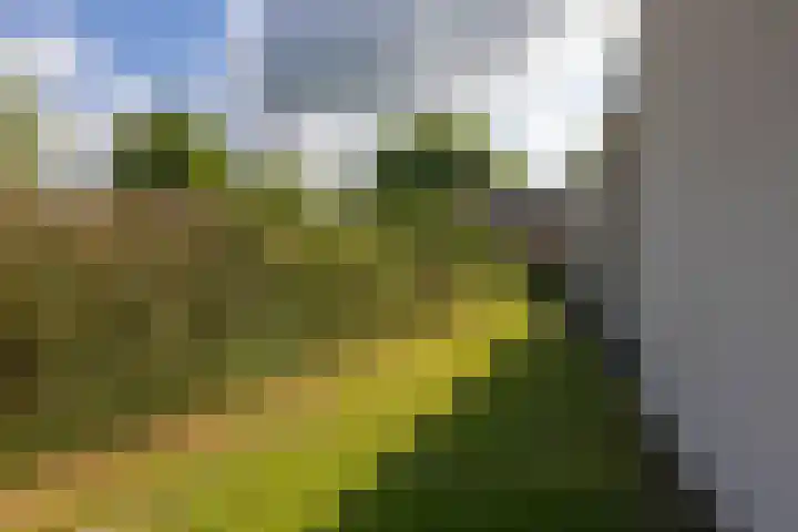 Singelweg 2 Grijpskerk thumbnail 27