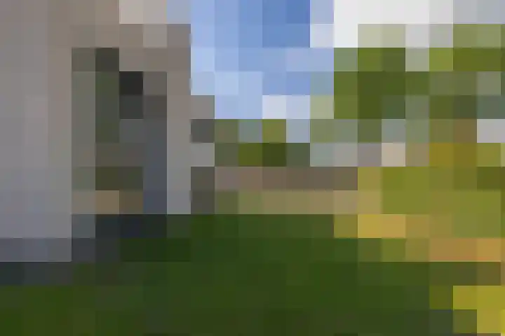 Singelweg 2 Grijpskerk thumbnail 28