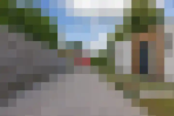 Singelweg 2 Grijpskerk thumbnail 29