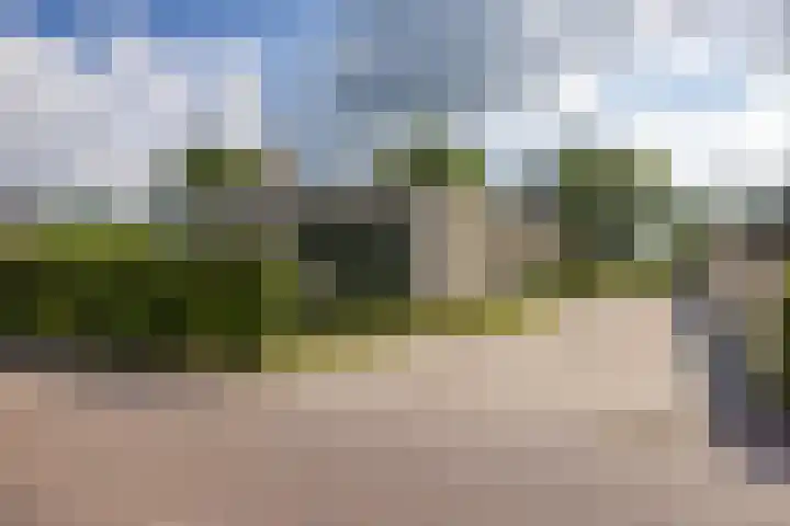 Singelweg 2 Grijpskerk thumbnail 30