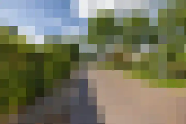 Singelweg 2 Grijpskerk thumbnail 33