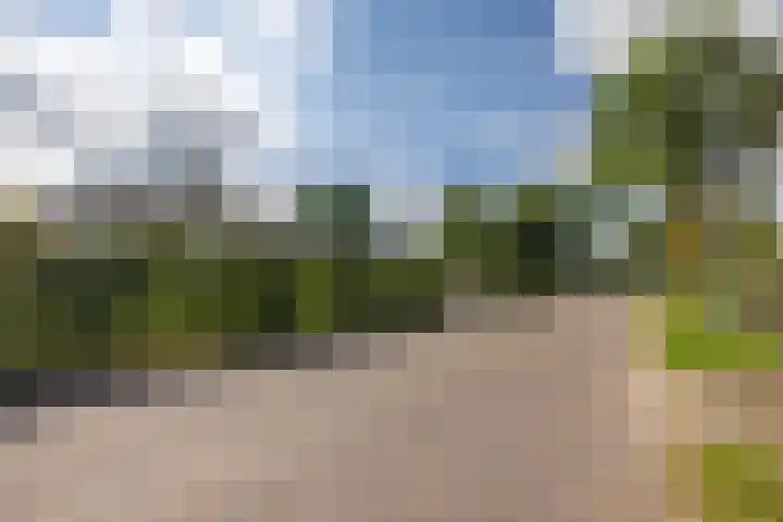 Singelweg 2 Grijpskerk thumbnail 34