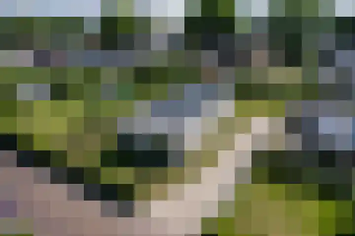 Singelweg 2 Grijpskerk thumbnail 35