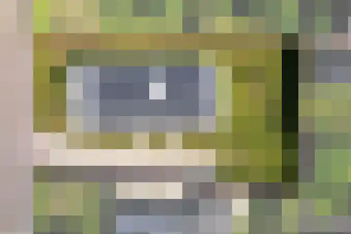 Singelweg 2 Grijpskerk thumbnail 36