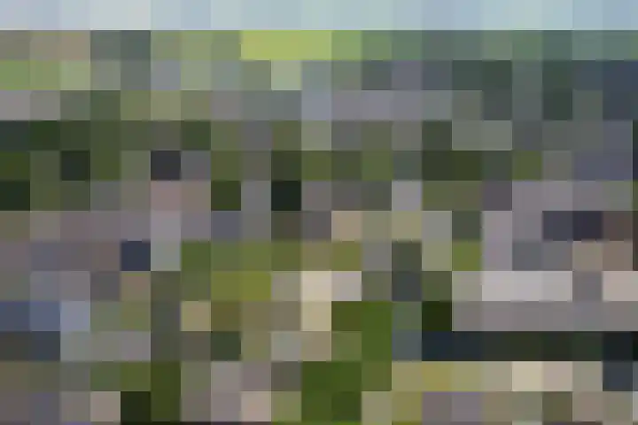 Singelweg 2 Grijpskerk thumbnail 37