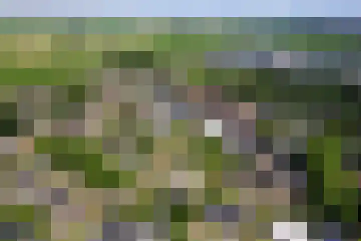Singelweg 2 Grijpskerk thumbnail 38