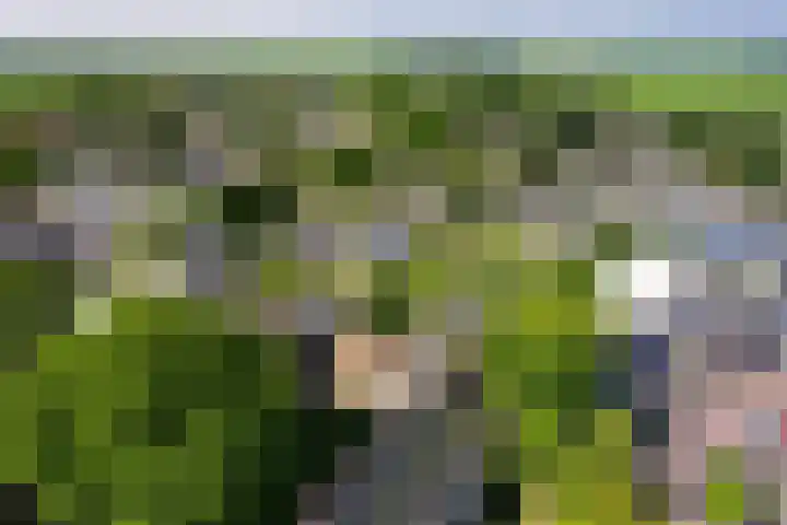 Singelweg 2 Grijpskerk thumbnail 40