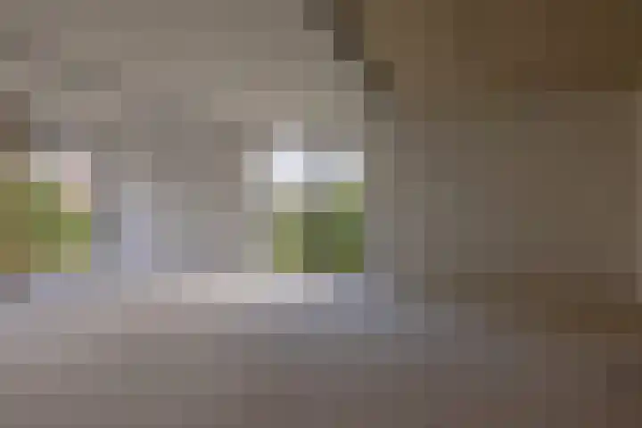 Singelweg 2 Grijpskerk thumbnail 9