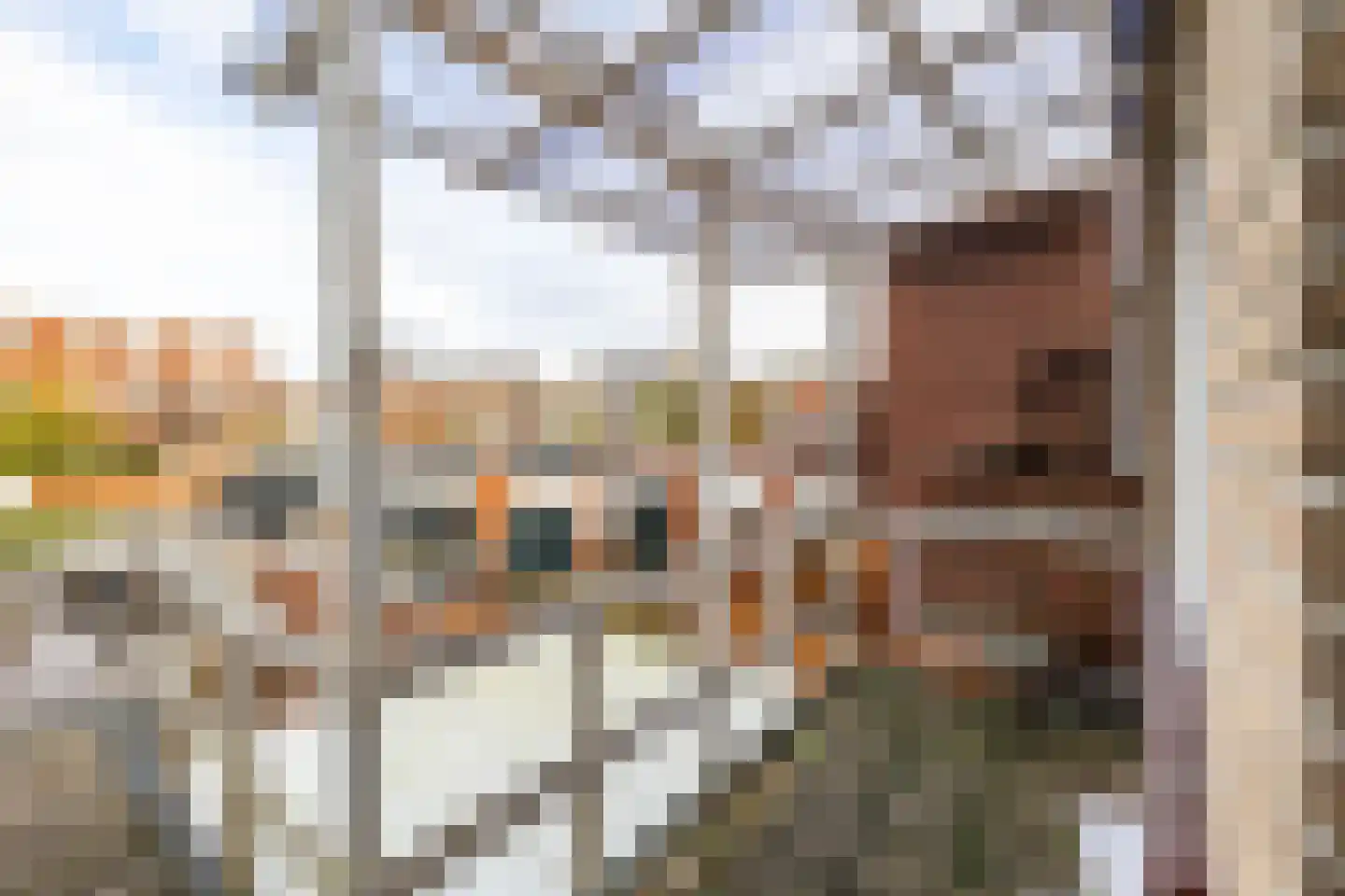 Singelweg 22 Groningen thumbnail 41