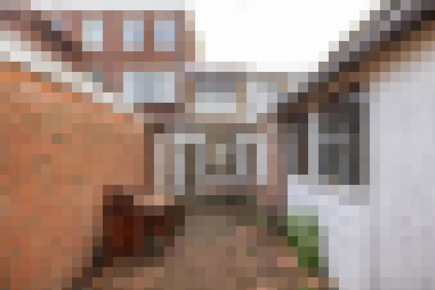 Singelweg 22 Groningen thumbnail 47