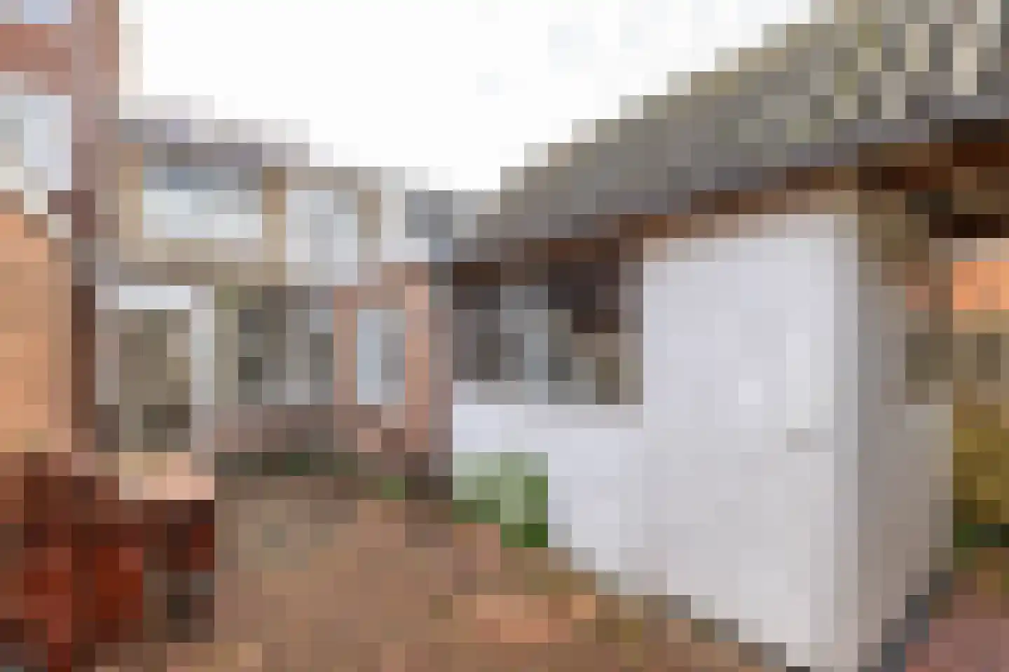 Singelweg 22 Groningen thumbnail 48