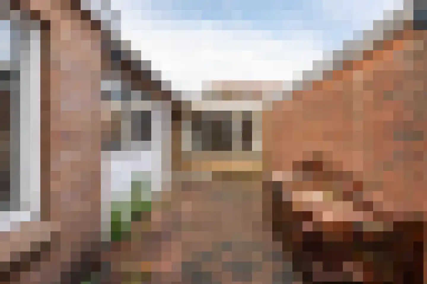Singelweg 22 Groningen thumbnail 5