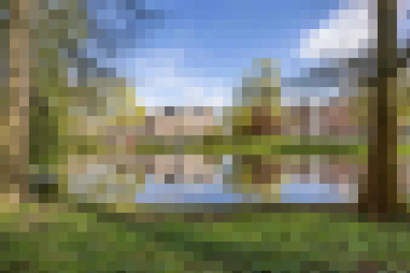 Singelweg 24 a Groningen thumbnail 61