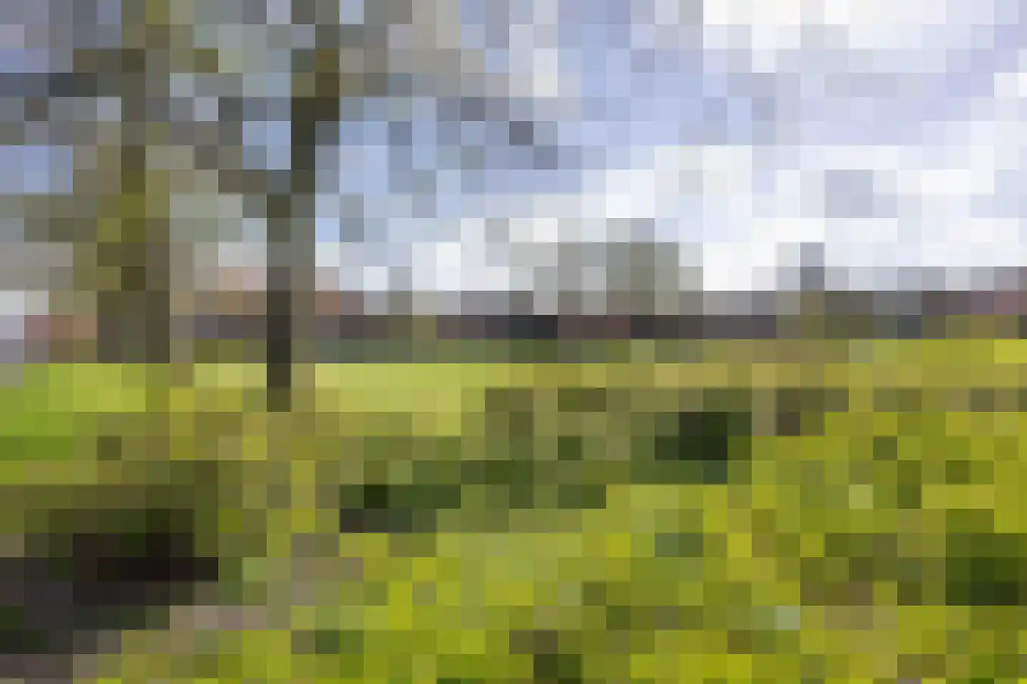 Singelweg 24 a Groningen thumbnail 64