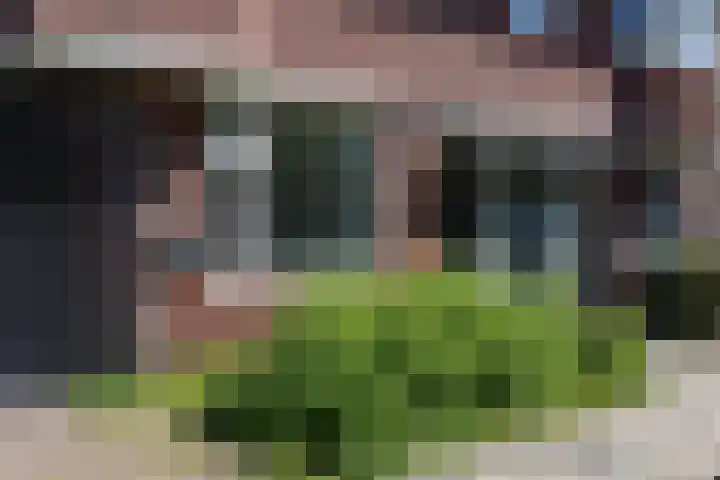 Singelweg 24 Groningen thumbnail 4