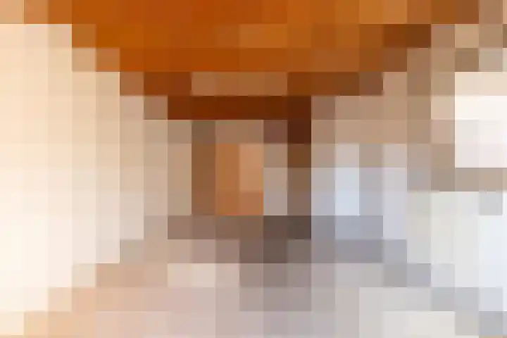Singelweg 30 Aalten thumbnail 10
